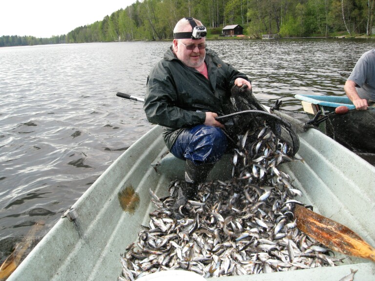 Lähde kalastamaan Katumajärvelle!
