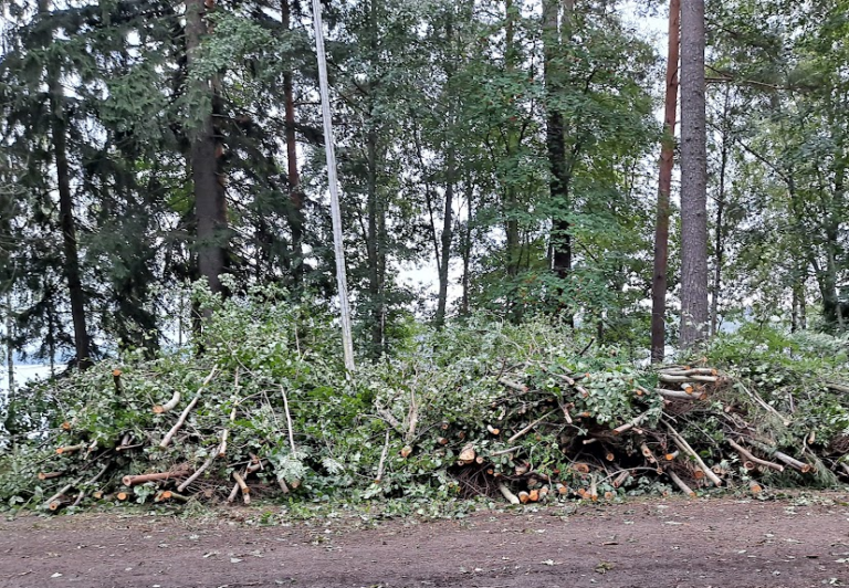 HAMKin opiskelijat talkoilivat jälleen Katumajärvellä